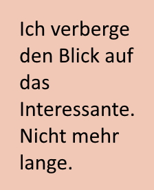 testbild