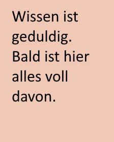 testbild